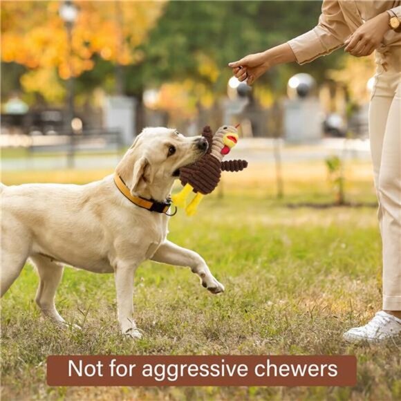 PrimePets Dog Toys, Plush Dog Squeaky Toys 5 Pack Stuffed Cute Dog Gift Toys - Picture 4 of 5